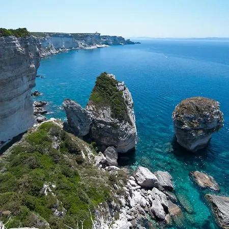 T3 65 M2 Centre * Порто-Веккіо