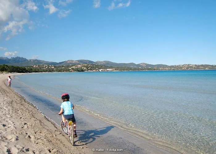 Apartamento T3 65 M2 Centre